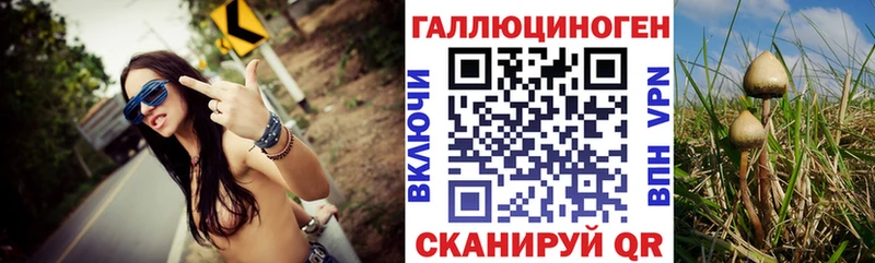 Галлюциногенные грибы мухоморы купить наркотик Рыльск